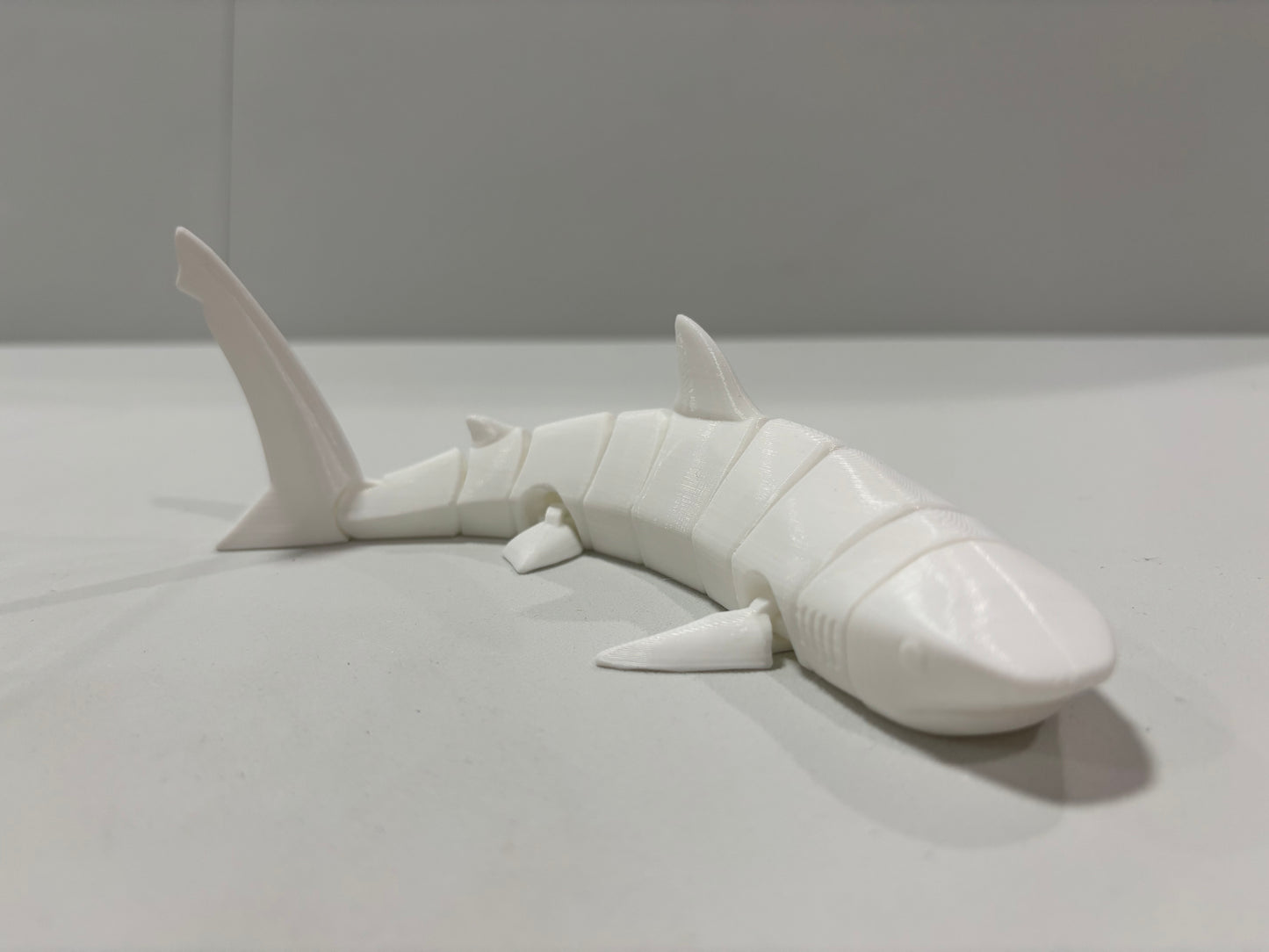 Paintable White Shark
