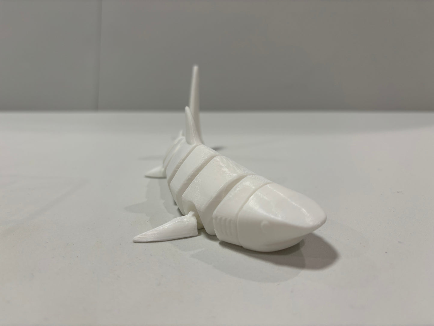 Paintable White Shark