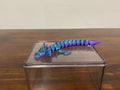 Teal Water Dragon