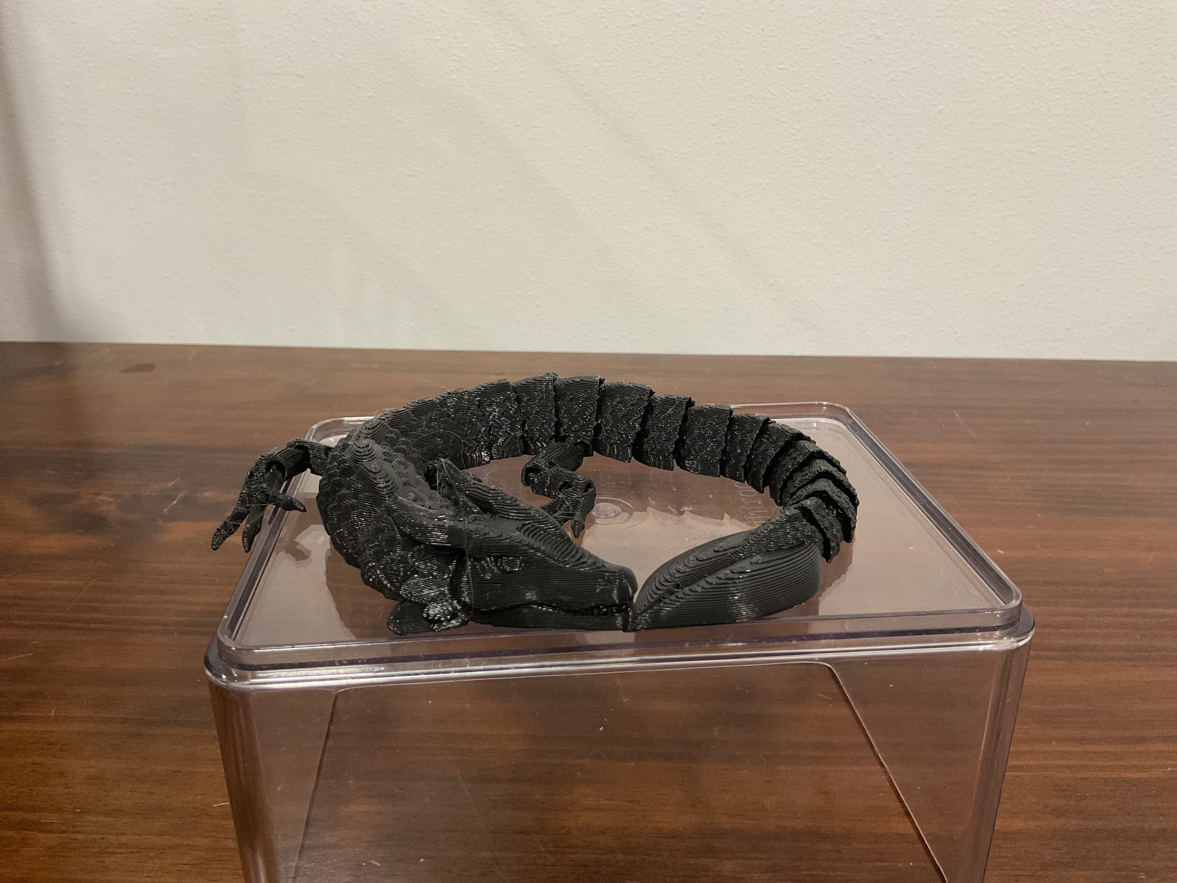 Black Leaf Dragon
