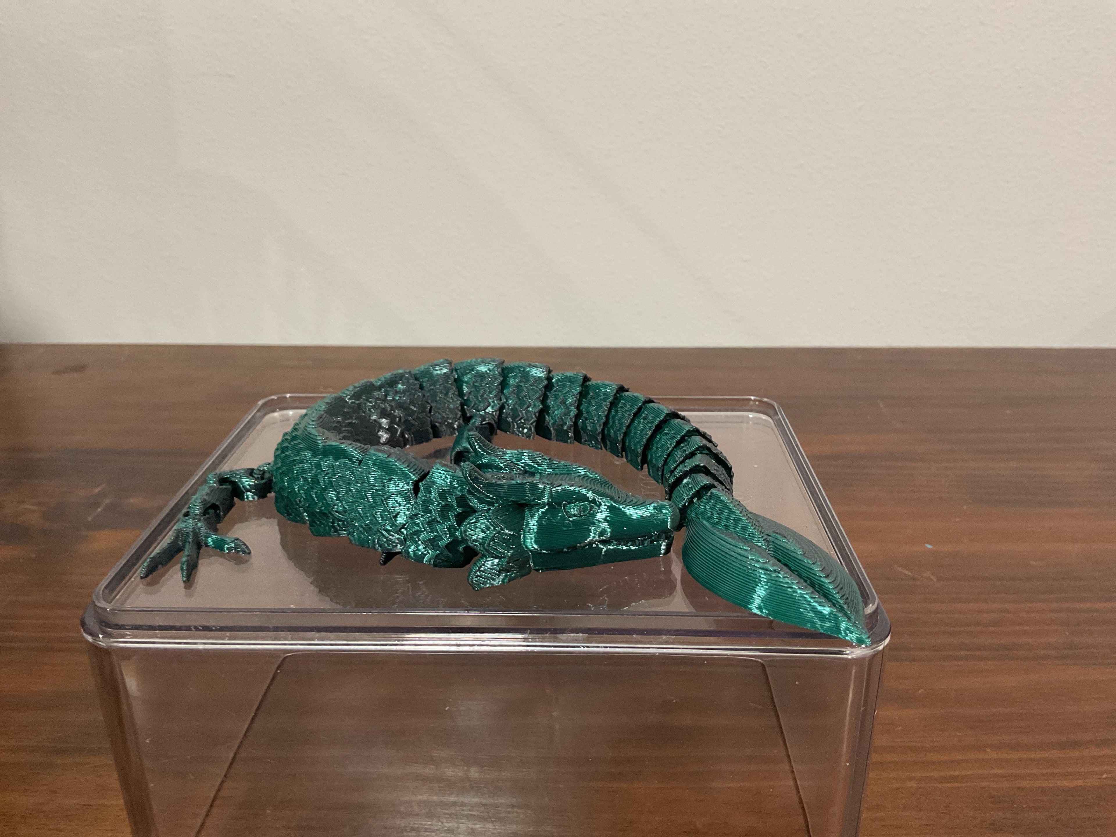 Green And Black Leaf Dragon