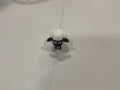 Grumpy Sheep