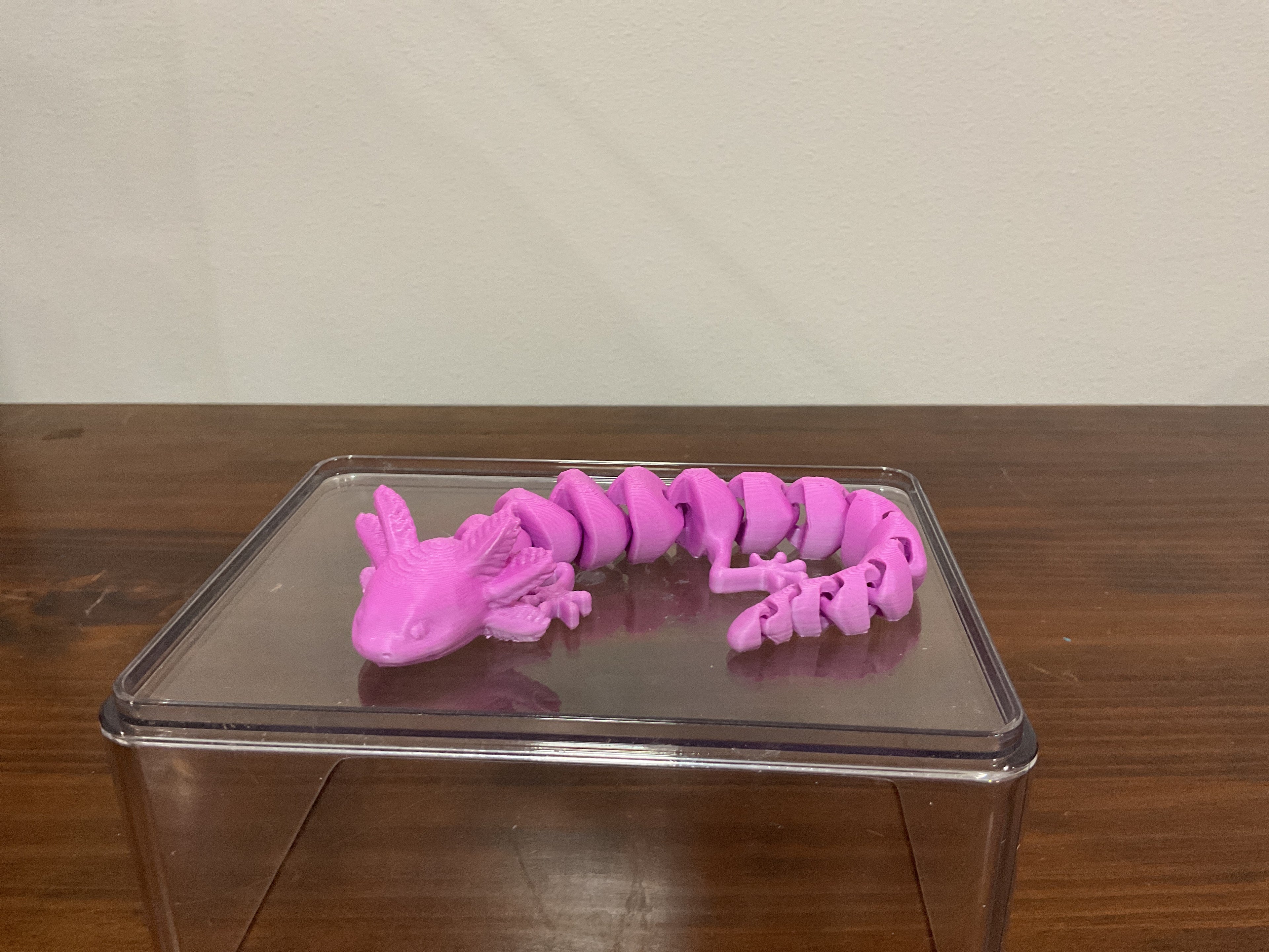Pink Axolotl